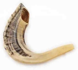 Shofar traditionnel casher écologique en corne de bélier polie avec finition naturelle, artisanat indien à bas prix - Product Image 5