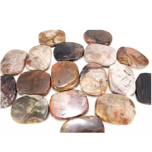 หินคริสตัลพลอยรูปปาล์มแบนแบนแบนทรงรีทำจากหินจัสเปอร์ - Product Image 6