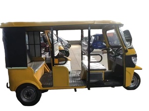 Triciclo NUEVO CERTIFICADO de Tres Ruedas para 9 Pasajeros, Motocicleta de 3 Ruedas Tuk Tuk de 250cc en Venta - Product Image 4