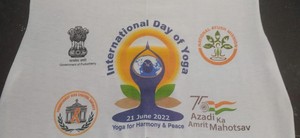 Regalo de promoción Verano Algodón Calidad económica Camisetas en blanco Impresión personalizada Cuello redondo evento Camiseta Mujeres para hombres y niños Tamaño - Product Image 3