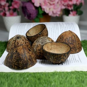 Tazones Ovalados de Cáscara de Coco Cruda, Orgánicos y Ecológicos |   Tazón de Comedor Hecho a Mano Natural |   Vajilla Sostenible al por Mayor - Product Image 4