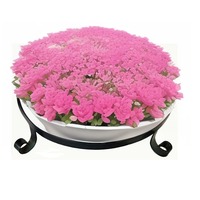 Support de plantes robuste en fer anti-rouille avec revêtement en poudre, pour usage intérieur/extérieur, étagère pour plantes de jardin, capacité de 30-40 kg, pot de fleurs