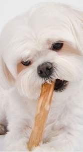 Duradero y duradero café madera perro masticar VIET FARGIMEX - Product Image 3