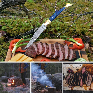 Cuchillo de caza táctico de acero de Damasco de alto rendimiento, gancho de tripa Tang completo, soporte OEM personalizado para acampar al aire libre, madera DIY - Product Image 4