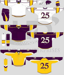 Fabricant pakistanais d'uniforme de hockey sur glace surdimensionné Vêtements de sport pour jeunes Uniforme de hockey sur glace - Product Image 2