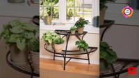 Sparxwizz Engineering Pot de fleurs de jardin moderne, écologique, en fer thermolaqué, robuste, léger et durable, à 4 niveaux réglables