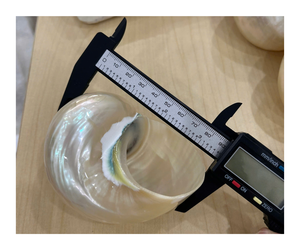 Papel pintado hecho a mano de concha marina impermeable artesanal para decoración de baño - Product Image 1