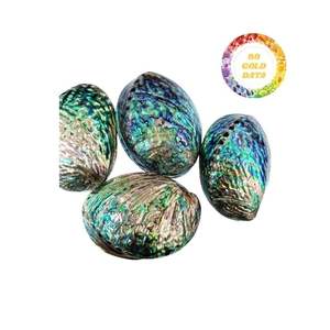 เปลือกหอยผลิตภัณฑ์ตกแต่งจากธรรมชาติ99โกลด์ดาต้า - Product Image 5