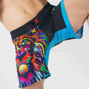 Online Sale Best Selling MMA <b>Shorts</b> Wholesale Unique Style MMA <b>Shorts</b> 2025 Lightweight MMA <b>Shorts</b> - Product Image 5