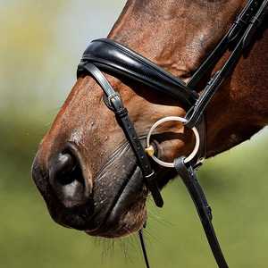 Venta al por mayor Brida de caballo pedido a granel FABRICANTE DE Brida de caballo CABALLO BRIDLE DE JUMPING DE CUERO - Product Image 4