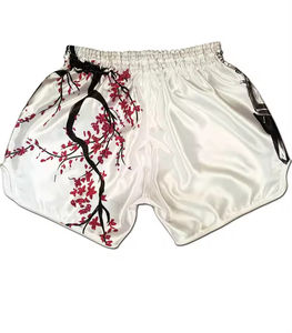 Offres Spéciales Top Qualité Fairtex Street King Muay Thai Short De Boxe Multi Couleurs Combat Respirant Bande Élastique jiu jitsu kimono - Product Image 2