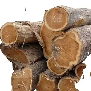 Troncos de madera de teca personalizados, madera dura de pino y rojo, venta al por mayor