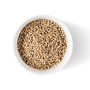 Vente en gros de grains de sorgho pur en sacs en vrac pour fournisseurs mondiaux - Product Image 5