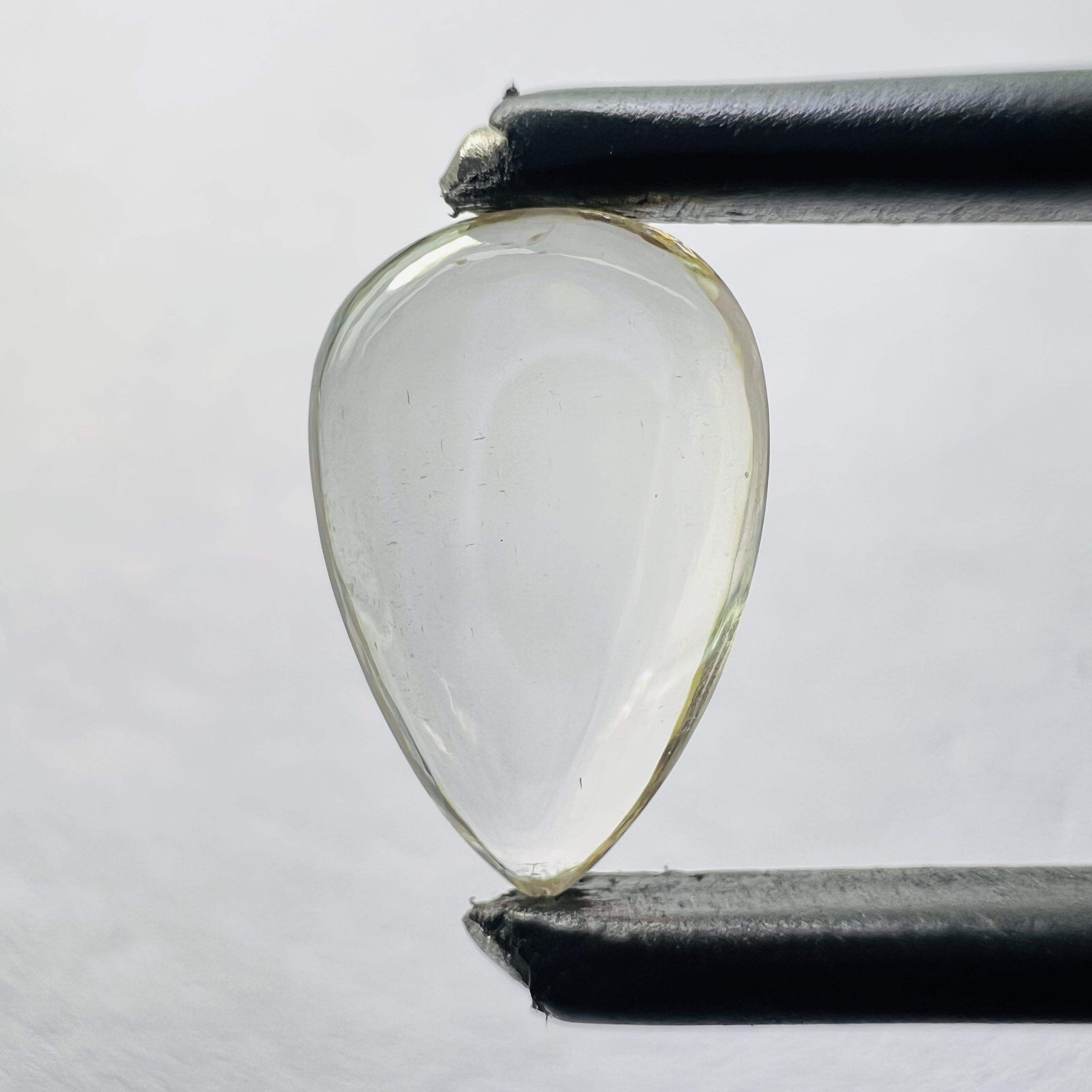 Comme spectacle dans l'image