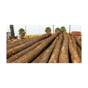 Troncos de ciprés Madera redonda Tipos de teca y acacia Carga a granel Fabricantes de leña Mejor precio Madera de pino seca 100% - Product Image 6