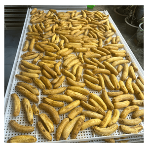 Plátano Deshidratado Suave Hecho con Plátanos Seleccionados para Bolsitas de Refrigerio Masticables y Exportación al por Mayor Hecho en Vietnam - Product Image 6
