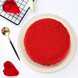 Assiettes de bagasse de canne à sucre biodégradables-Assiettes jetables écologiques fabriquées au Vietnam pour une assiette durable pour les repas et les événements - Product Image 6