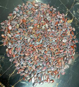 Venta al por mayor de piedras preciosas sueltas de alta calidad cabujón de ágata de Botswana roja natural para la fabricación de joyas - Product Image 1