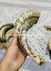 Corne de Choréphore en Mouton Naturel Poli - Décoration Religieuse Écologique de Haute Qualité pour la Maison - Product Image 2