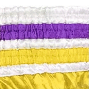 Pantalones cortos de Kickboxing de la mejor calidad, pantalones cortos de alto grado MMA Gym Boxing Muay Thai para hombres y mujeres con movimientos modernos - Product Image 4