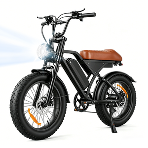Bicicleta Eléctrica EB5Max de 20 Pulgadas con Llantas Gruesas, Batería de Litio de 48V, Motor en la Rueda Trasera, Estilo Vintage para Adultos - Product Image 1