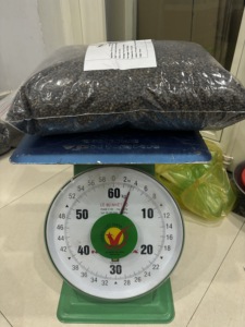 เมล็ดมะละกอตากแห้งผลิตภัณฑ์ทางการเกษตรจากธรรมชาติสำหรับดื่มและใช้ปลูกพืชเวียดนาม - Product Image 5