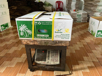 Betrouwbare Leverancier Van Verse Vietnamese Kokosnoten Voor Export Met Consistente Kwaliteitscontrole