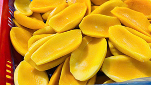 มะม่วงแช่แข็งหั่นเป็นชิ้นสำหรับของหวานและการจัดเลี้ยงผลไม้เขตร้อนธรรมชาติในฟาร์มในเวียดนามขายส่งจำนวนมากโดย99ทองข้อมูล - Product Image 2