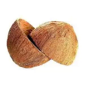 Cáscara de Coco Seca de Alta Calidad al Mejor Precio, Cáscara de Coco Cruda Barata Disponible en el Mercado - Product Image 6