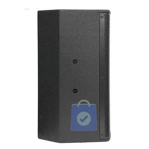 Sistema de Sonido PA Activo de Alta Calidad con DSP Profesional, Altavoz de 15 Pulgadas de Rango Completo, 450W, de Madera, para Conferencias, OEM, 2 Años de Garantía - Product Image 3