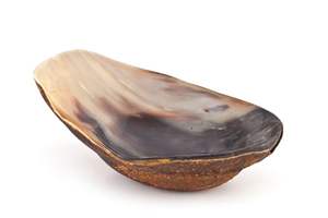 Bol en corne écologique, durable et sans plomb, fabriqué par des artisans respectueux de l'environnement, pour la cuisine bohème, les fêtes, fait main, couleur naturelle - Product Image 5