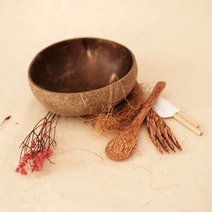 Bol en coquille de noix de coco artisanal du Vietnam pour les acheteurs soucieux de l'environnement à des prix abordables - Product Image 3