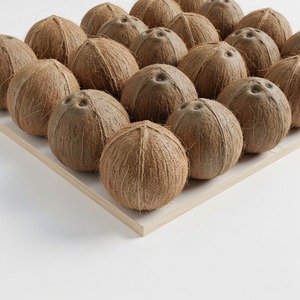 Noix de coco naturelles fraîches propres et brunes idéales pour la cuisson, la consommation et l'exportation au détail en vrac vers les marchés internationaux - Product Image 6