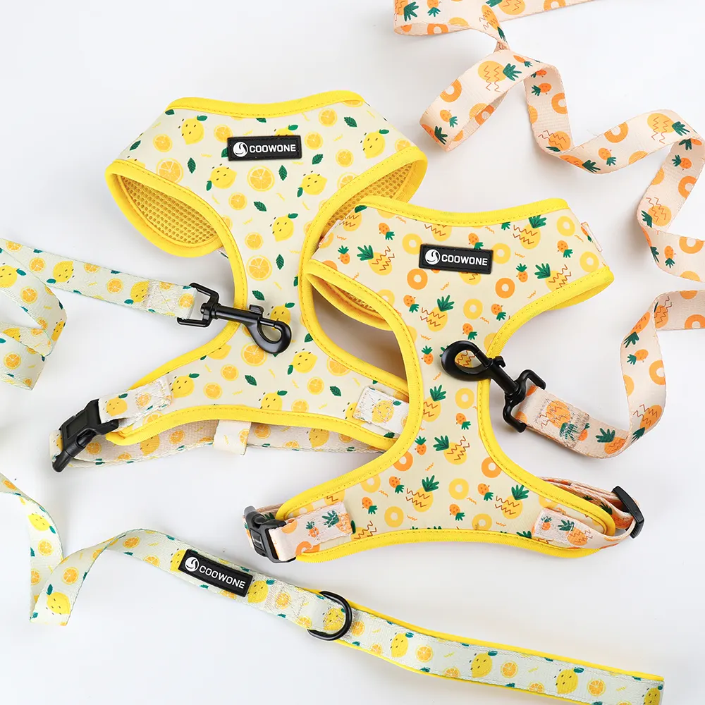 Popular Neoprene Dog Harness Set with Matching Dog Collar Leash Bow Tie and Bandana Set