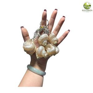 Porte-clés Étoile de Mer Ovale Écologique Vietnamienne Grande Taille 3-4cm Colorée Souvenir Marin Vente en Gros Fournisseur - Product Image 3
