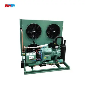 3hp 5hp 6hp Air Cooled Compressor Condensing Unit for Cooling System Refrigeration