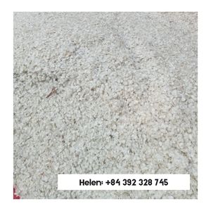 TIAPILA ปลา SUN DRY GOOFD ราคาส่วนผสมอาหารสําหรับสกัดเจลและผง Agar - วัสดุเจลดิบคุณภาพสูงของเวียดนาม - Product Image 6