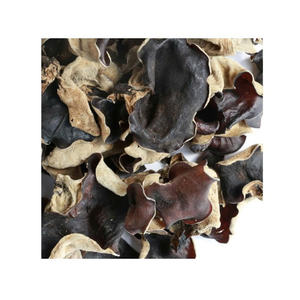 Hongo de Oído de Madera Seco al por Mayor, Hongo Negro Seco, Hongo Negro de Grado Superior, Listo para Exportar - Product Image 5