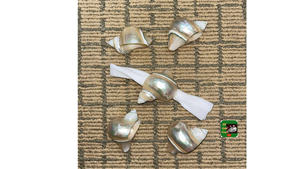 Commande en gros d'anneaux de serviette en coquillage du Vietnam, surface polie de qualité supérieure pour la restauration fine - Product Image 6