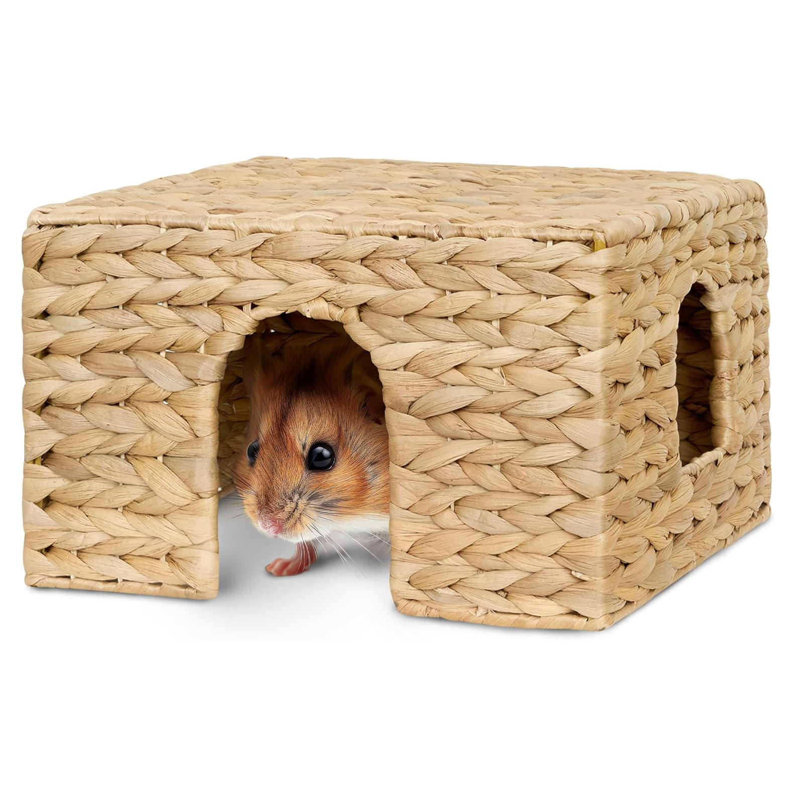 ธรรมชาติ