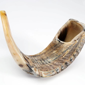 Shofar de cuerno de oveja Natural superventas para soplar y propósito religioso Shofar kosher de tamaño personalizado pulido - Product Image 1