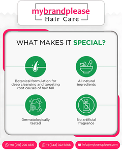 แชมพูควบคุมการตกจากมะยมอินเดียขนาด500มล. พร้อมน้ำมันมะกอกว่านหางจระเข้และสารสกัดจาก bhringraj สำหรับผมหนาแข็งแรง - Product Image 4