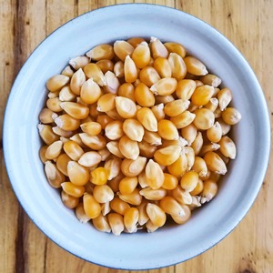 เมล็ดข้าวโพดคั่วสีเหลืองทองไม่ใช่ GMO - Product Image 3