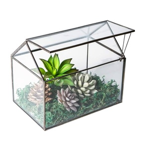 El mejor diseño para comedor, decoración de mesa, Terrario de cristal para Terrario de cristal de metal de la mejor calidad. - Product Image 5
