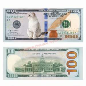 نقود وهمية مخصصة فائقة الدقة لأفلام الأفاتار، للمقالب على يوتيوب، الأفلام الوثائقية، الحفلات، هدايا مفاجئة للأطفال والأصدقاء والحيوانات الأليفة، وديكور فني - Product Image 3