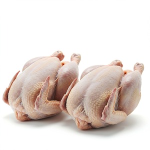 Prix promotionnel Poulet congelé pour acheteurs internationaux livré en vrac pour l'épanouissement du secteur alimentaire et la vente au détail - Product Image 4