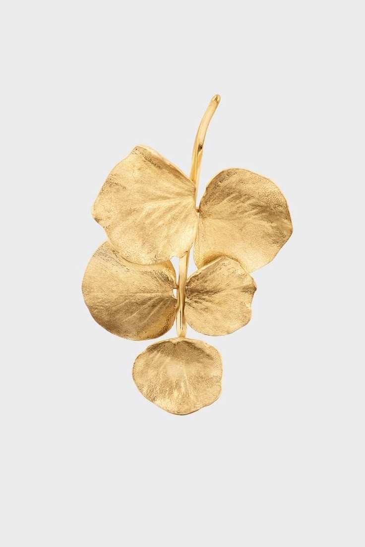 ตามที่แสดง