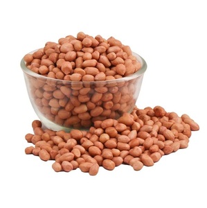Top Grade Rich in Protein Raw <b>Peanuts</b> Dried Nuts from France Exporter at Wholesale Price for Export Sale - Product Image 3