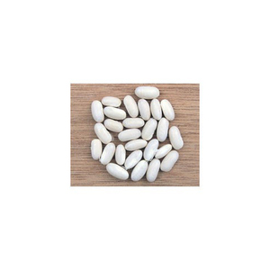 Frijoles blancos asequibles a la venta para comercio internacional - Product Image 4