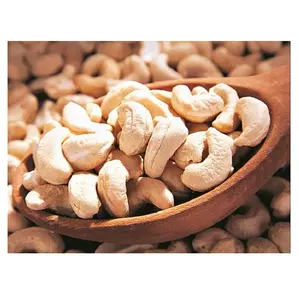 Various types of cashew nuts for wholesale - High Quality Cashew Kernel -Raw/ Roasted Cashew Nuts